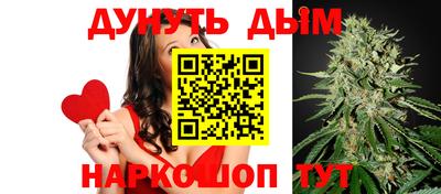 сатива Обнинск