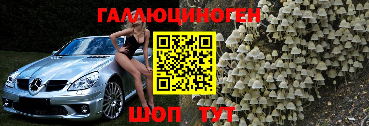 продажа наркотиков  Вход с VPN  Пенза  Псилоцибиновые грибы MAGIC MUSHROOMS 